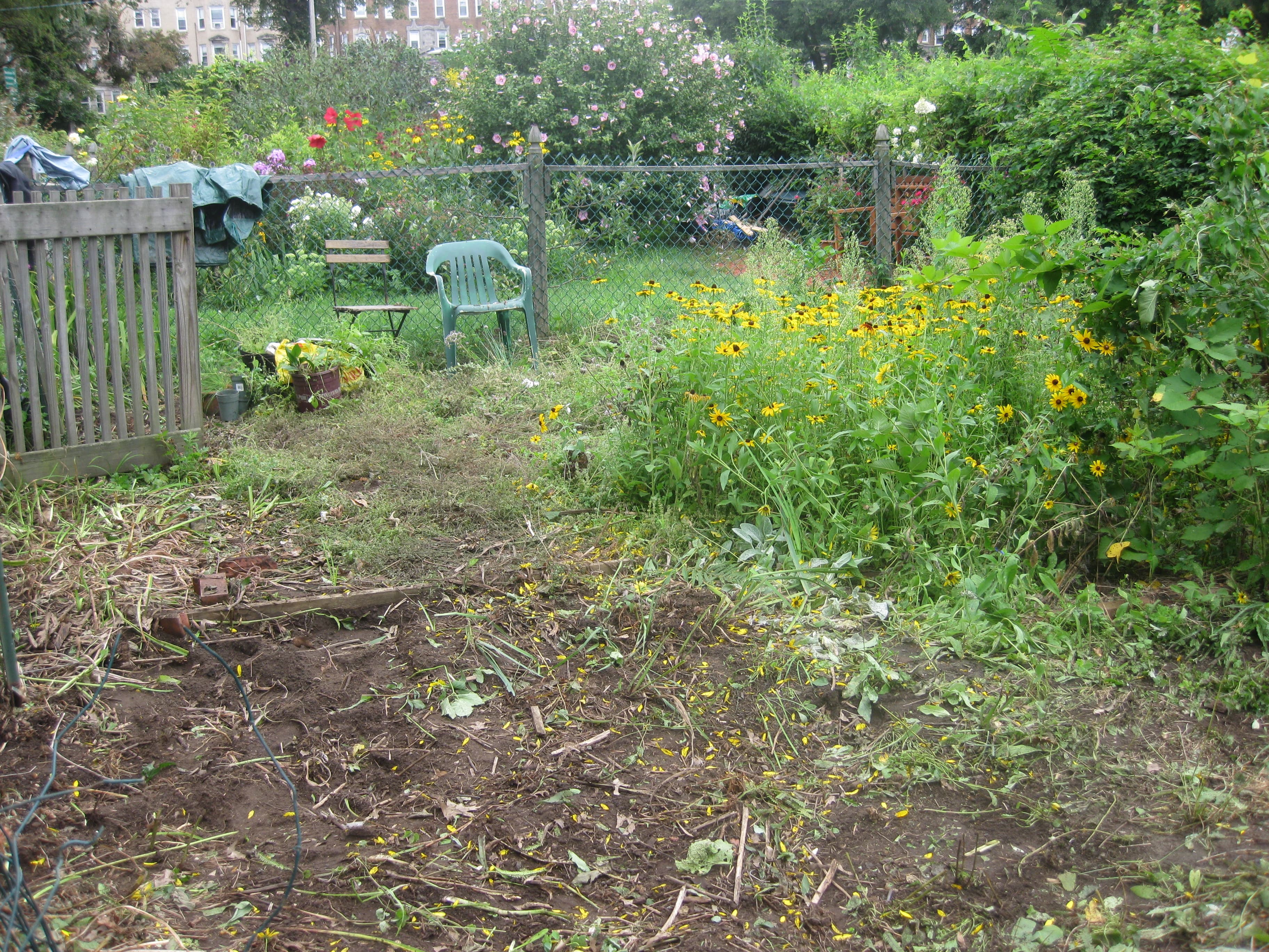 Clean the whole backyard 1